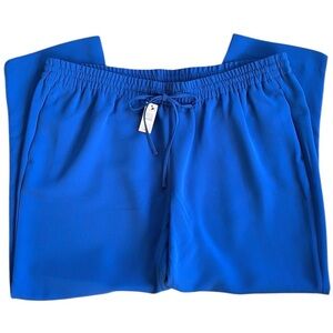 NWT Talbots Eastport Pull-On Crepe Pants Blue Size 1X